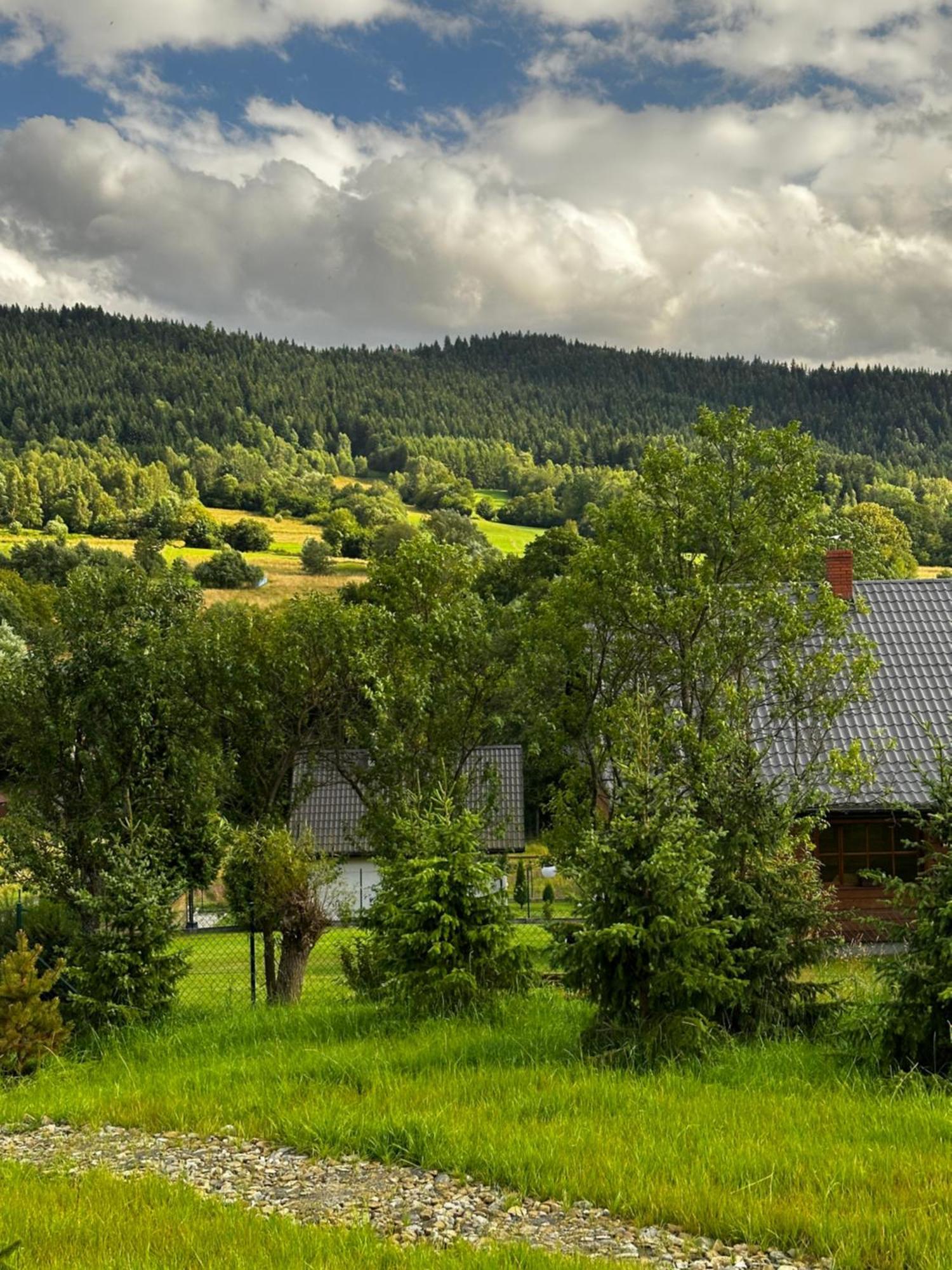 Black Deer - Z Sauna Na Tarasie, Jacuzzi I Widokiem Na Gory - By Deer Hills Luxury Apartments Kocon Eksteriør billede